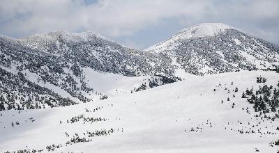 Aomori Nebuta Festival illuminated float Japan — Hirosaki Castle cherry blossoms moat sakura