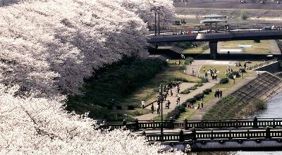 Eiheiji Zen monastery Fukui Japan — Tojinbo basalt cliffs sea Japan Echizen crab dinosaur museum Katsuyama