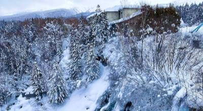 Biei Blue Pond Aoiike turquoise Hokkaido Japan — patchwork hills rolling farmland photographer landscape
