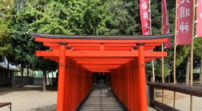 Kumamoto Castle black donjon cherry blossom Japan — Mt Aso active volcano caldera crater