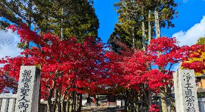 Matsushima Bay pine islands Miyagi Japan — Zuigan-ji temple boat cruise Date Masamune Sendai