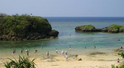 Iriomote Island UNESCO World Heritage jungle Iriomote wildcat Urauchi River mangrove Mariyudo Falls