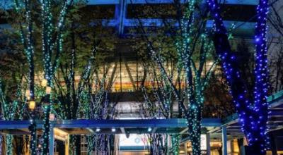 Kawagoe Little Edo kurazukuri storehouse district Saitama Japan — Chichibu Shibazakura festival