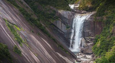 Yakushima island Kagoshima Japan — Jomon Sugi ancient cedar forest UNESCO Shiratani Unsuikyo moss